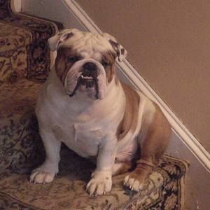 Meet your Posher, Barbara